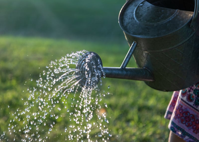 Water coming out of metal watering can